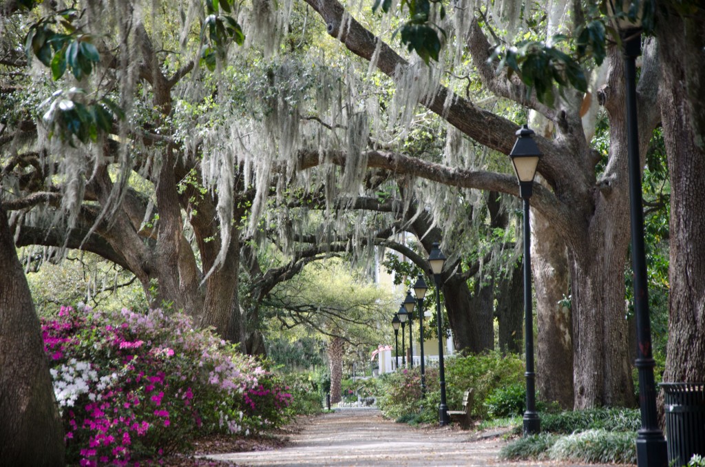 Historic Savannah and Your BluegreenTimeshare Vacation