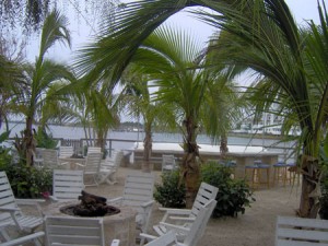 Festiva Timeshare Coconut Malorie Resort, Ocean City, Maryland