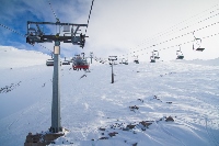 Ski Trends